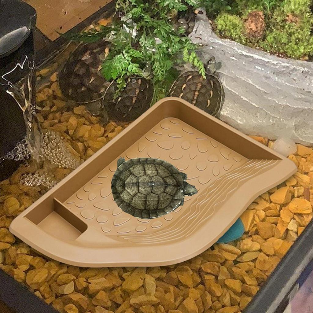 Aquarium Decoration with Bathing Area for Tortoise and Bearded Dragon