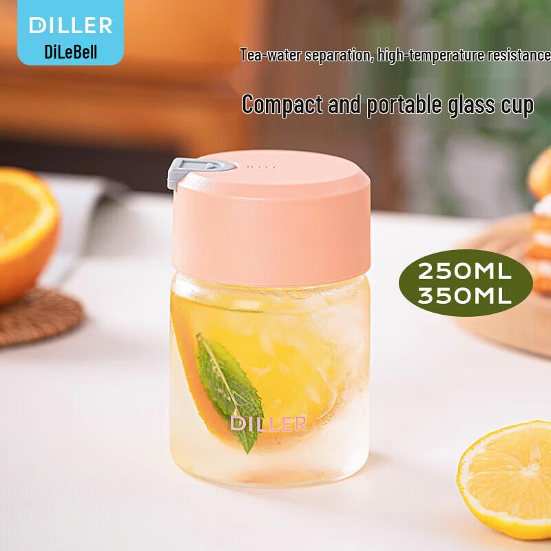 Dilebel Mini Portable Glass Tea Infuser Bottle 250ml