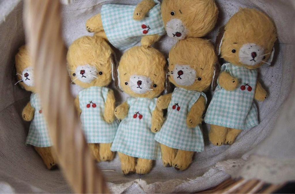 [USED] Teddy Bear Artist Bear Dog Puppy Cherry Dress