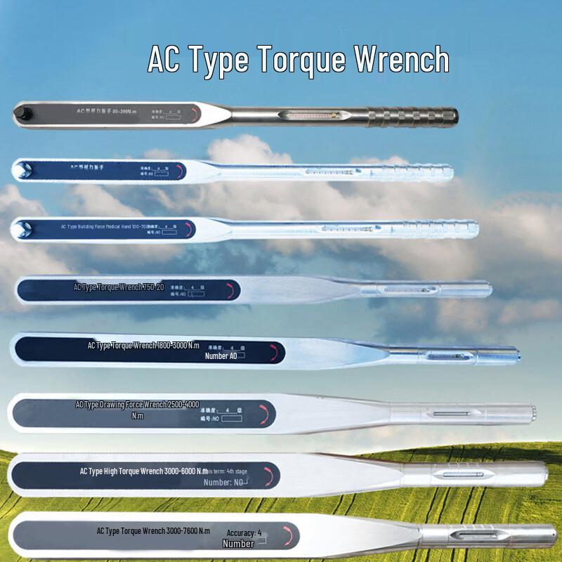 Songge AC Dual-Head Preset Torque Wrench