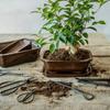 Nożyce Do Przycinania Drzewek Bonsai