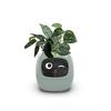 Intelligent Lazy Automatic Water Absorbing Flowerpot Plastic Resin Circular Usb Rechargeable Indoor Plant Small Flowerpot YLE22