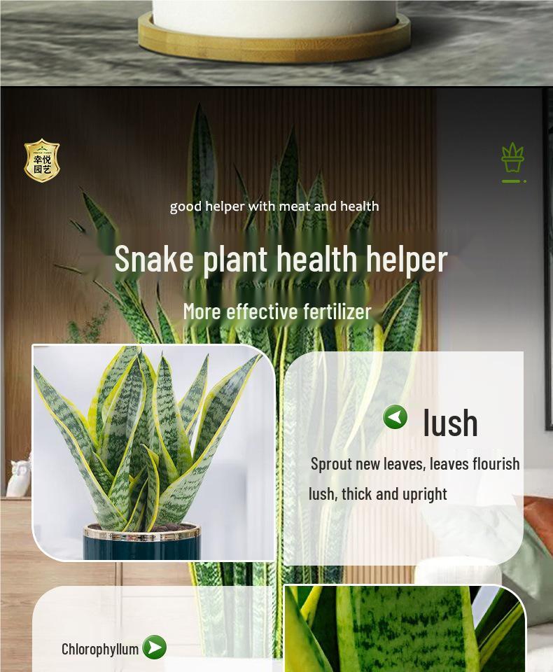 Snake Plant Flower Nutrient: Water-Soluble Fertilizer for Golden Edge Green Potted Plants, No Dilution Needed