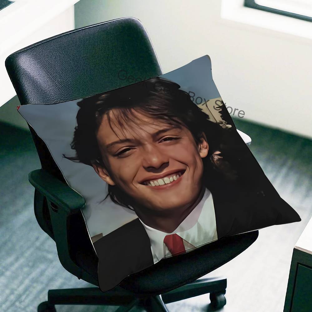 L-Luis Miguel Singer Pillow Case Plush Pillow Cases Home Decoration Pillow Cover For Sofa Bed Chair Living Room