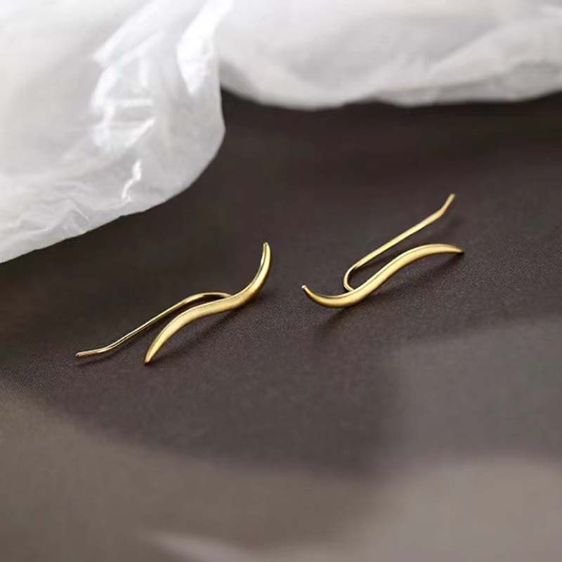 Korean Shiny Zircon Star Flower Climbing Earrings for Women Exquisite Sliver Color Crystal Statement Earrings Jewelry Gifts