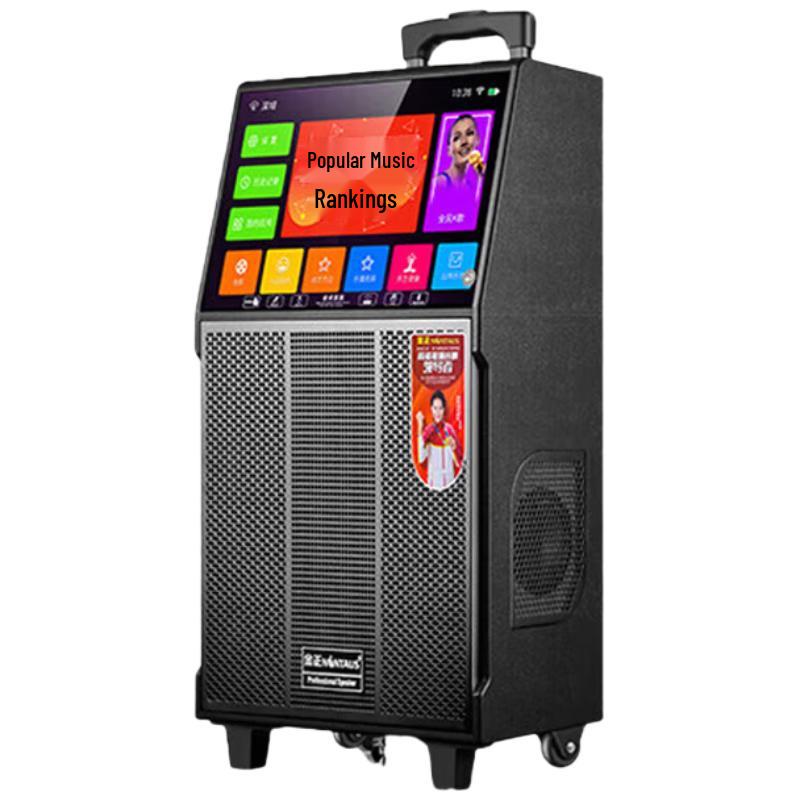 NINTAUS Smart Karaoke & Portable PA Speaker Systems