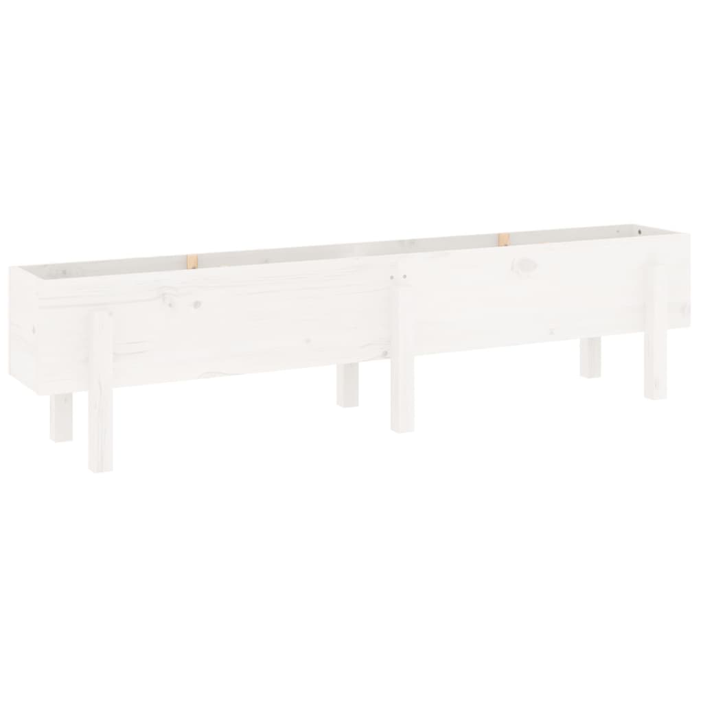 Raised Bed White 160 X 30 X 38 Cm Solid Pine Wood