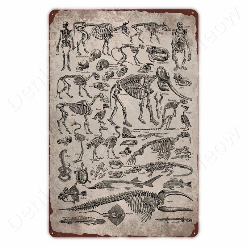 Dinosaur In the Bathroom Wall Art Print Fossil Vintage Metal Tin Sign Club Room Home Decor Animal Bones Poster Painting