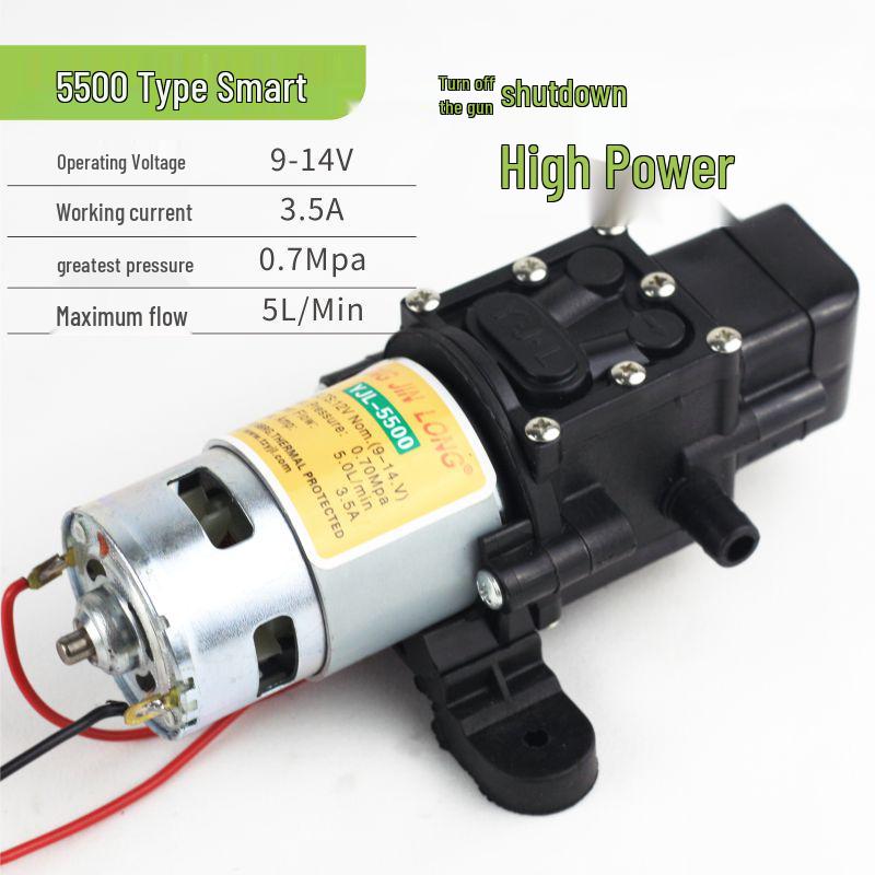 Pompa per Spruzzatore Elettrico con Motore in Rame da 12V: Pompa a membrana autoadescante, Modelli 2203/4200/5500.