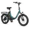 DYU C9 All-Terrain Faltbares E-Bike Für Erwachsene 250W Motor 48V15.6AH Batterie 20 Zoll Offroad-Reifen Mountain Elektrofahrrad City Elektrofahrrad