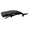 TAKARA TOMY Ania Sperm Whale Animal Dinosaur Toy for Ages 3 and Up AL-34 (Floating Version)