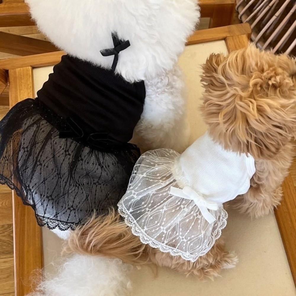 Princess Style Pet Dresses Lace Detail Pet Vest Princess Dog Skirts For Dogs