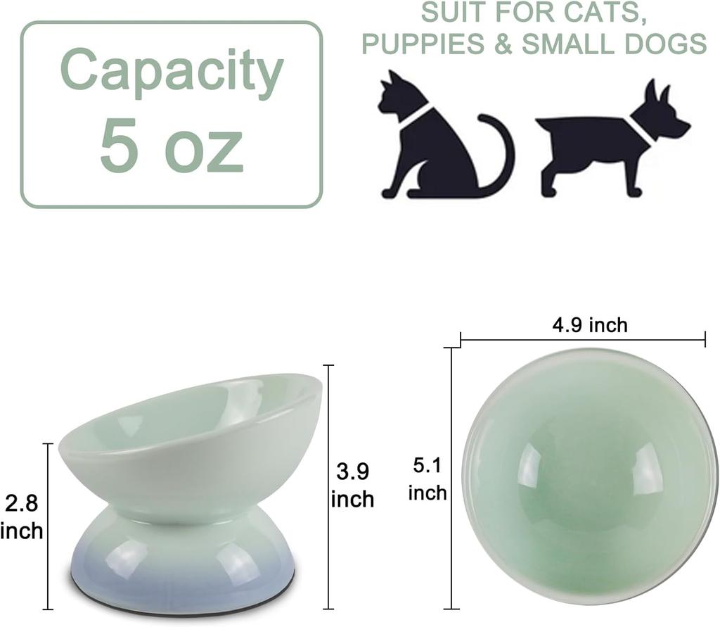 Ceramic Elevated Cat Bowls Tilted Cat Food Bowl Dish Pet Feeder Bowl Dishwasher Microwave Safe