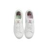 Nike Blazer Low Valentine's Day Women's Sneakers Skateboard Shoes CT5750-100
