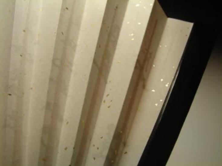 Men's Omotesenke Tea Ceremony Beginner's Set "Phoenix Design"