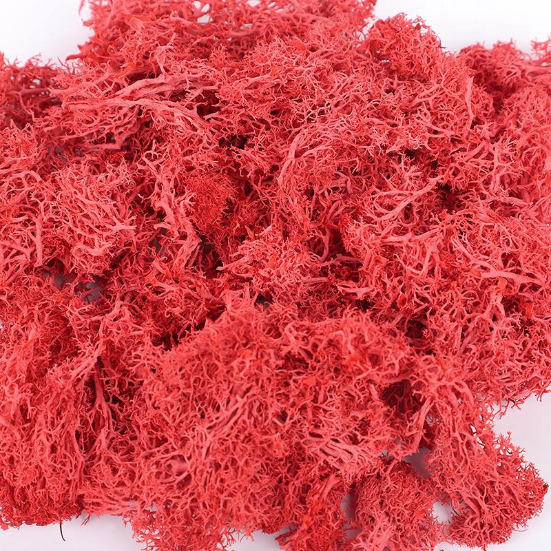 20/40/100g Artificial Green Plants Eternal Life Moss Grass DIY Crafts for Home Garden Room Decoration Mini Landscape Fake Flower