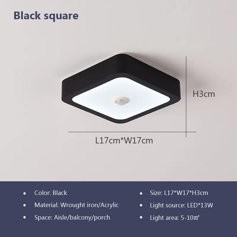 Modern LED Ceiling Lamp Human Body Induction Home Decor Fixture For Aisle Balcony Corridor Hallway Kitchen Ceiling Decor Lusters