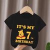 Winnie The Pooh Birthday Themed Printed Children's T-shirt Summer Pure Cotton Breathable Parent-child Outfit Short Sleeved
