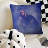 Singer Drake Pillow Case Fashion Square Pillowcase Bedroom Sofa Room Ins Decoration Leisure