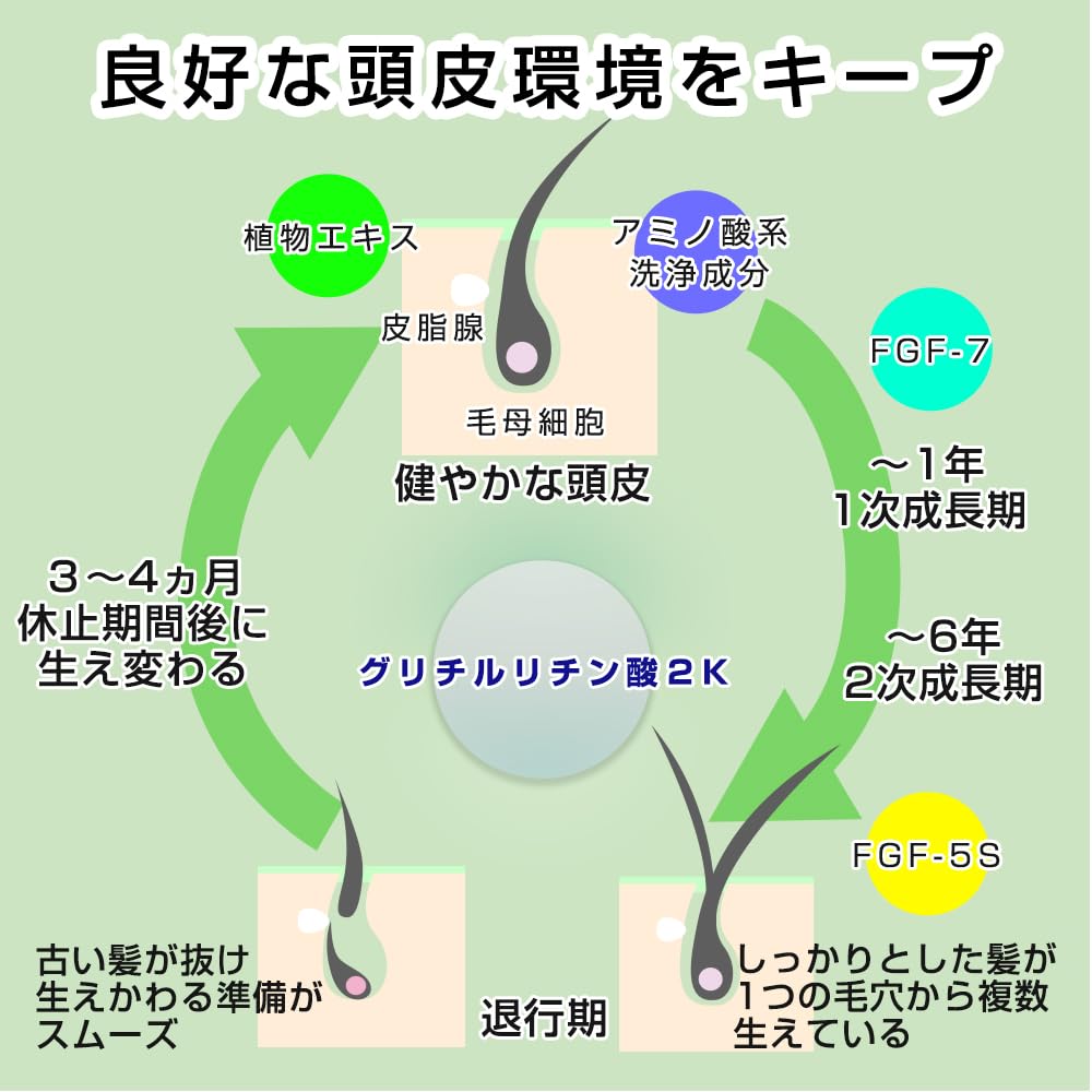 Asstyle GOPHA Scalp Medicat pentru Bărbați și Scalp și Șampon Amino Uleios, Produs parafarmaceutic, 280ml, Femei, Calificat pentru Salon, Îngrijire, Mâncărime, Acnee,