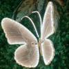 40/60Cm Led Outdoor Simulation Dynamic Static Butterfly Lights Holiday Party Home Christmas Decorations With Transformer