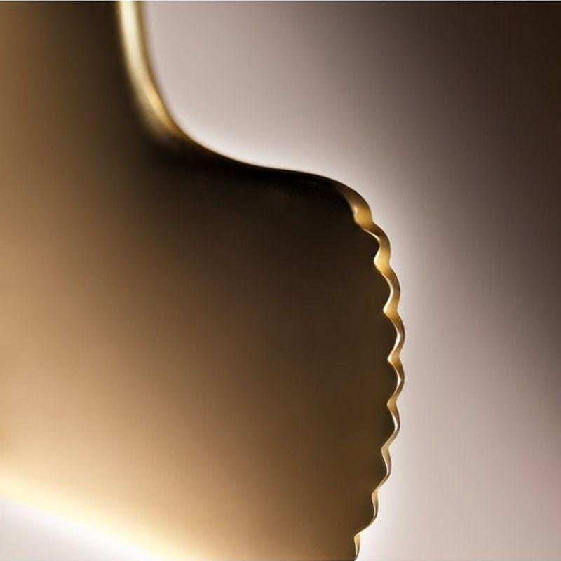 Ginkgo Guasha (Gua Sha)