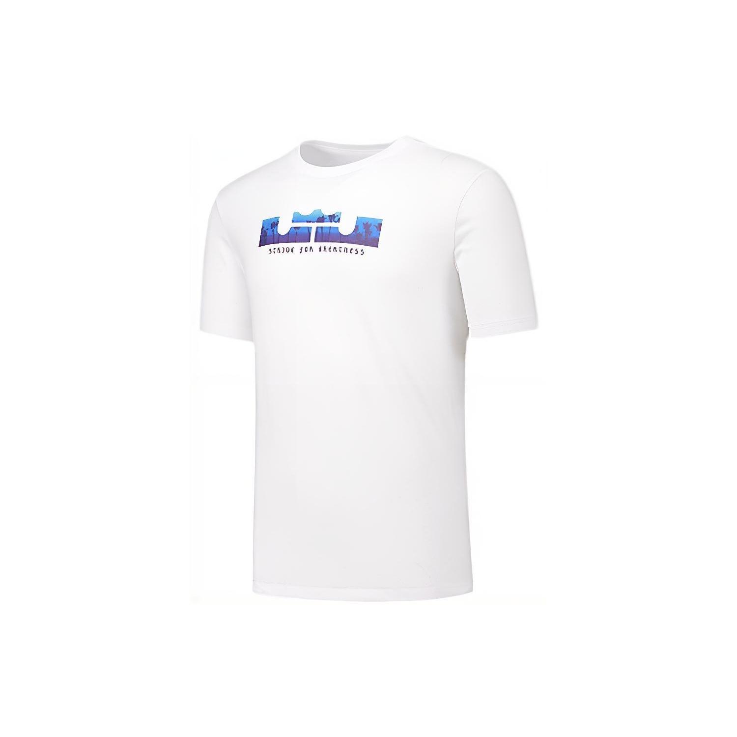 Men s Nike Dri-fit Lebron Casual Sports Basketball Short Sleeve T-Shirt DB6179-100 S