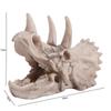 Artificial Fish Hiding House Decorative Animals Skull Decoration  Teaching Skeleton Model