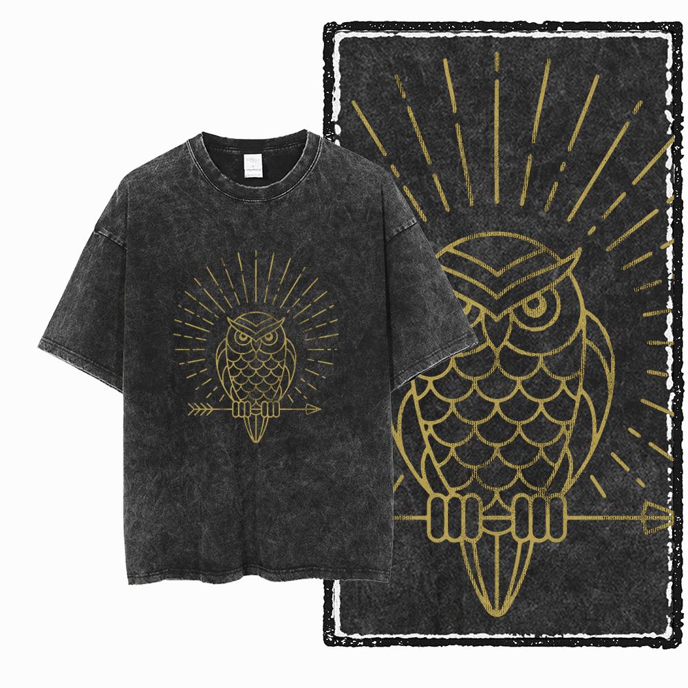 

DH Футболка унисекс с эксклюзивным графическим принтом совы, 100% хлопок, кислотная стирка, крутой винтажный стритвир, мужские футболки, футболка большого размера для мужчин M