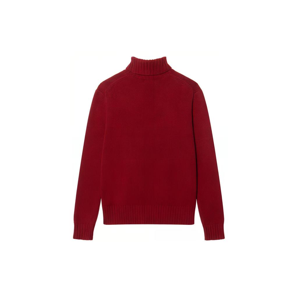 Polo Ralph Lauren FW23 Small Pony Logo Embroidered High Neck Knit Sweater Men Sweater 710777848-003