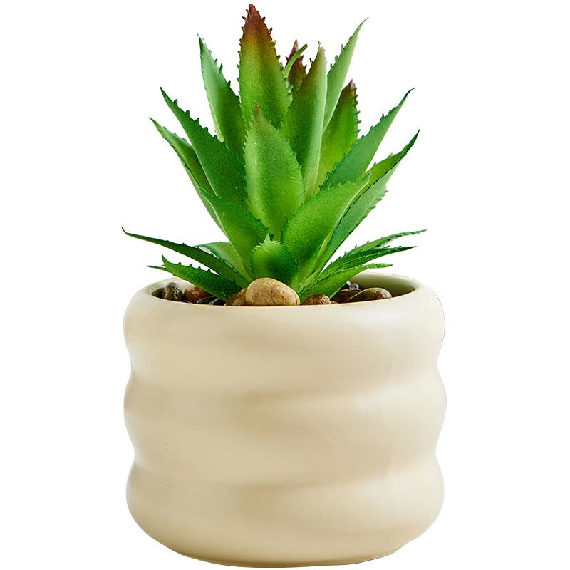 Artificial Cactus Succulent Plant with Glass Pot