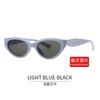 Cat Eye Shape Women's Sunglasses Retro Vintage Style UV400 Protection Sun Eyeglasses Female Travelling Hiking Male Sunglass