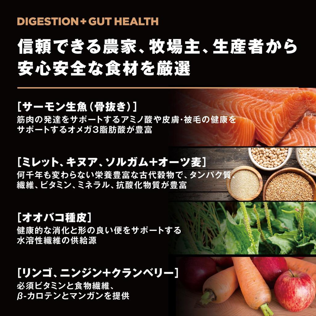 SOLUTIONS Digestion Intestinal Health Care Dog Food 800g Salmon Probiotics Fruit All Ages All Dog Breeds [Intestinal Care] GO! + [Go Solutions]