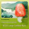 GANYUAN Wasabi Flavored Crispy Cashew Nuts