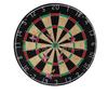 Professional Competition Dartboard