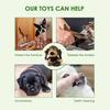 Squeaky Puppy Toys Plush Puppy Chew Toys for Teething Training Dog Toys for Small Dogs Toy for Cute Monkey Interactive Dog Toy