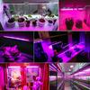 Led Grow Light Strip Waterproof Energy Saving Full Spectrum Grow Lamp For Indoor Plant Vegetable