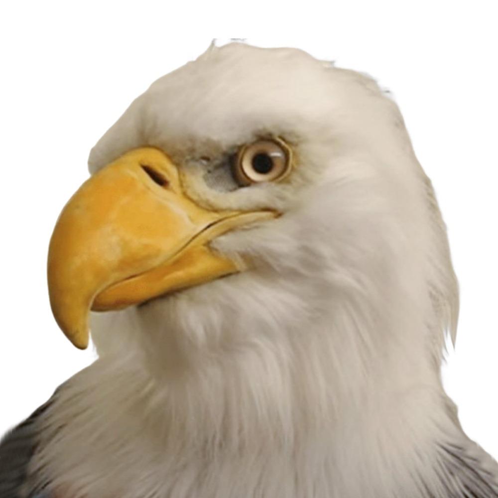 Venetian Party Eagle Mask Simulation Animal Wolf Mask Halloween Hood Mask  Party Makeup Ball