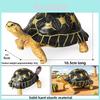 Obiecte de colecție și modele – Figurine