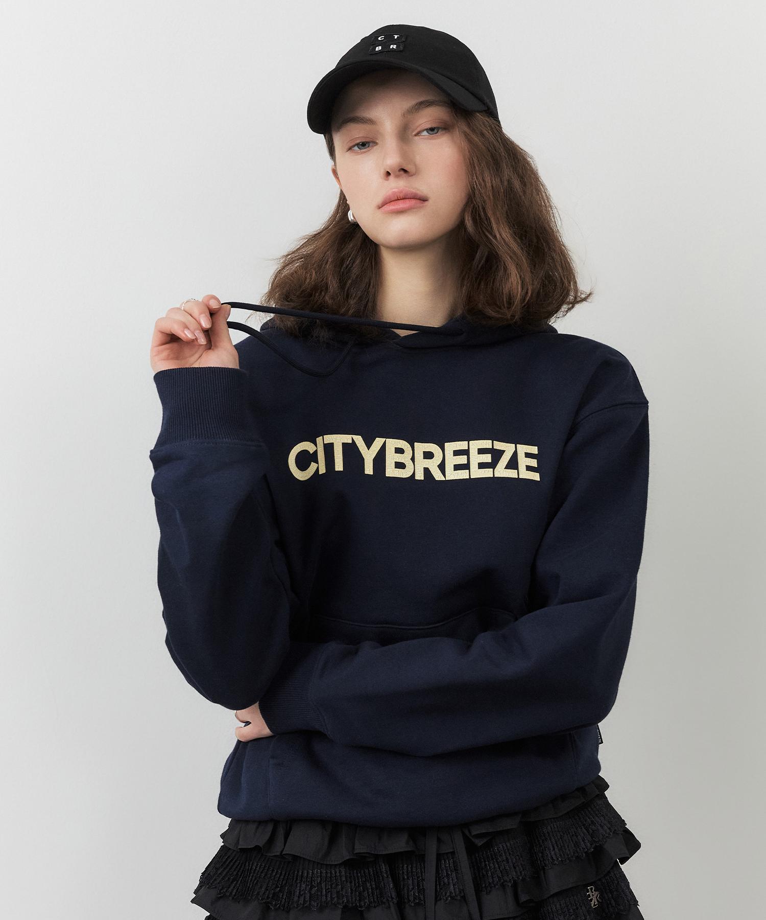 City Breeze Crack Logo Hoodie_Navy Navy/L