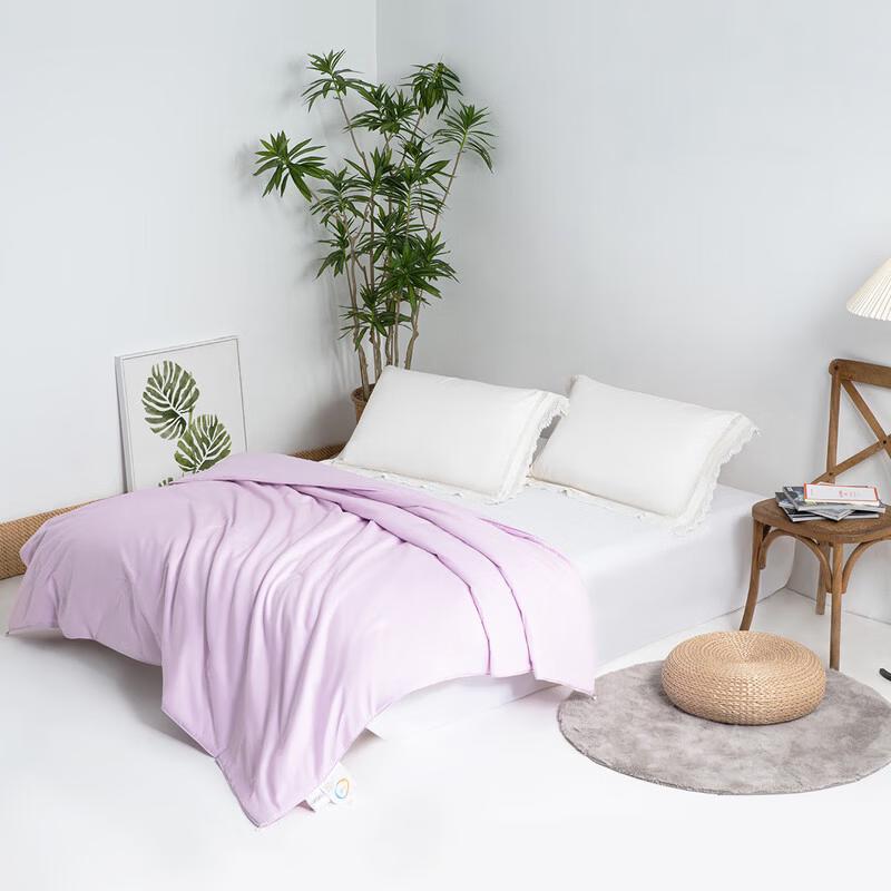 Yixiang Antibacterial Mulberry Silk Duvet