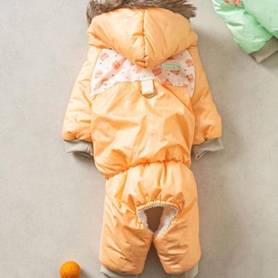 [Pet] Padding All-In-One L