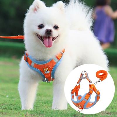Daily Public Small To Medium Sized Dog Dog Harness with Leash, Orange
