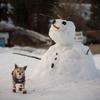 Dog Shoes for Dogs, Breathable Dog Boots & Paw Protectors for Hot Pavement Summer Winter Snow, 360° Anti-Slip Dog Booties
