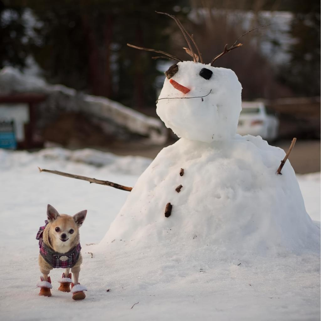 Dog Shoes for Dogs, Breathable Dog Boots & Paw Protectors for Hot Pavement Summer Winter Snow, 360° Anti-Slip Dog Booties