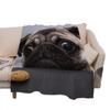 Cute Ultra-Soft Flannel Printed Blanket Plush Throw Nap Cover Sofa Bed Couch King Queen Full Size French Bulldog Dog