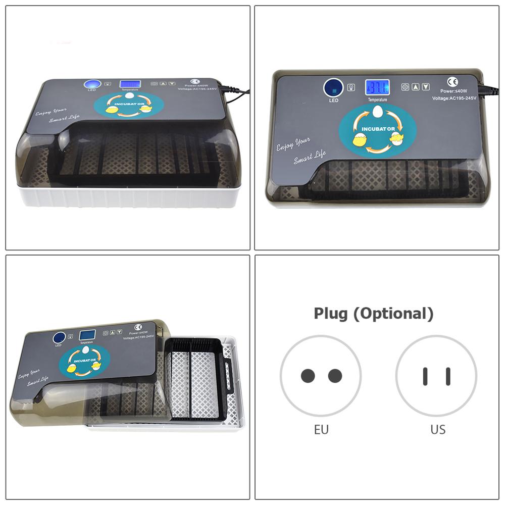 Brutkasten für 12 Eier mit automatischer Eierwendung, Feuchtigkeitskontrolle, Temperaturanzeige und Eierdurchleuchtung
