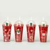 Hot Sale Double-layer Straw Coffee Mug Xmas Plastic Cup, Home Micro Landscape Christmas Gift, Couple Water Cup Yuzi