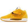 Kd 14 Tb University Gold Yellow Sneakers DM5040-702