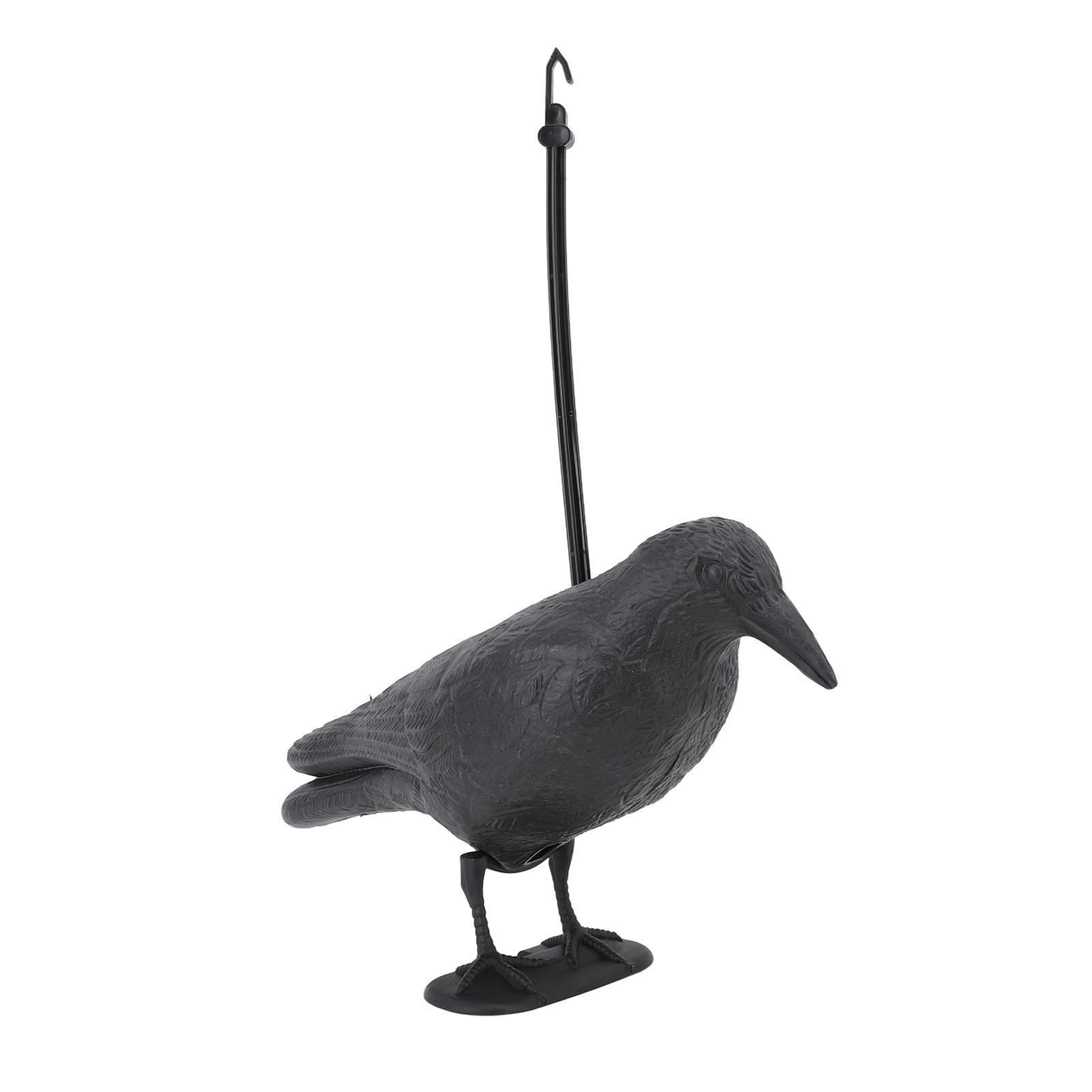 

Crow Decoy Archery Target PE 3D Standing Crow Statue Realistic Practice Bow Decoy for Outdoor